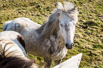 201506_Grundarfjoerdur-24.jpg