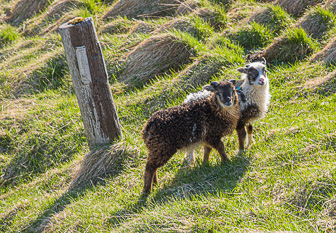 201506_Grundarfjoerdur-32.jpg