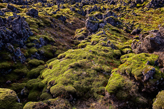 201506_Grundarfjoerdur-6-Modifier-3.jpg