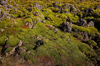 201506_Grundarfjoerdur-7-Modifier-2.jpg