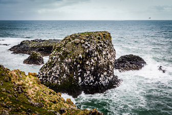 201506_Hellnar-Arnarstapi-56.jpg