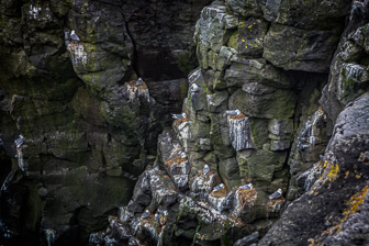 201506_Hellnar-Arnarstapi-68-Modifier.jpg
