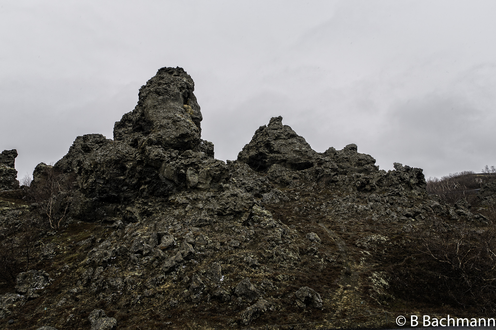 201506_Myvatn-13-Modifier.jpg