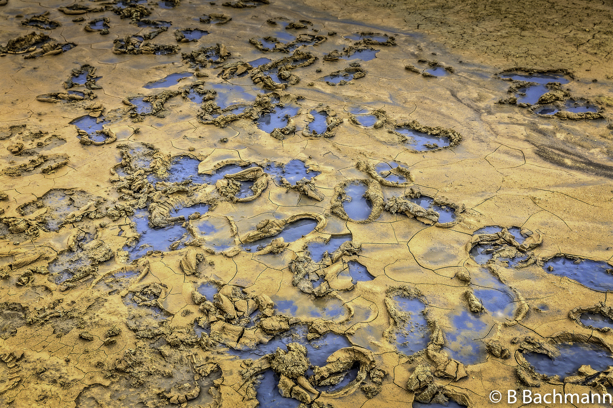 201506_Namaskard-31-Modifier.jpg