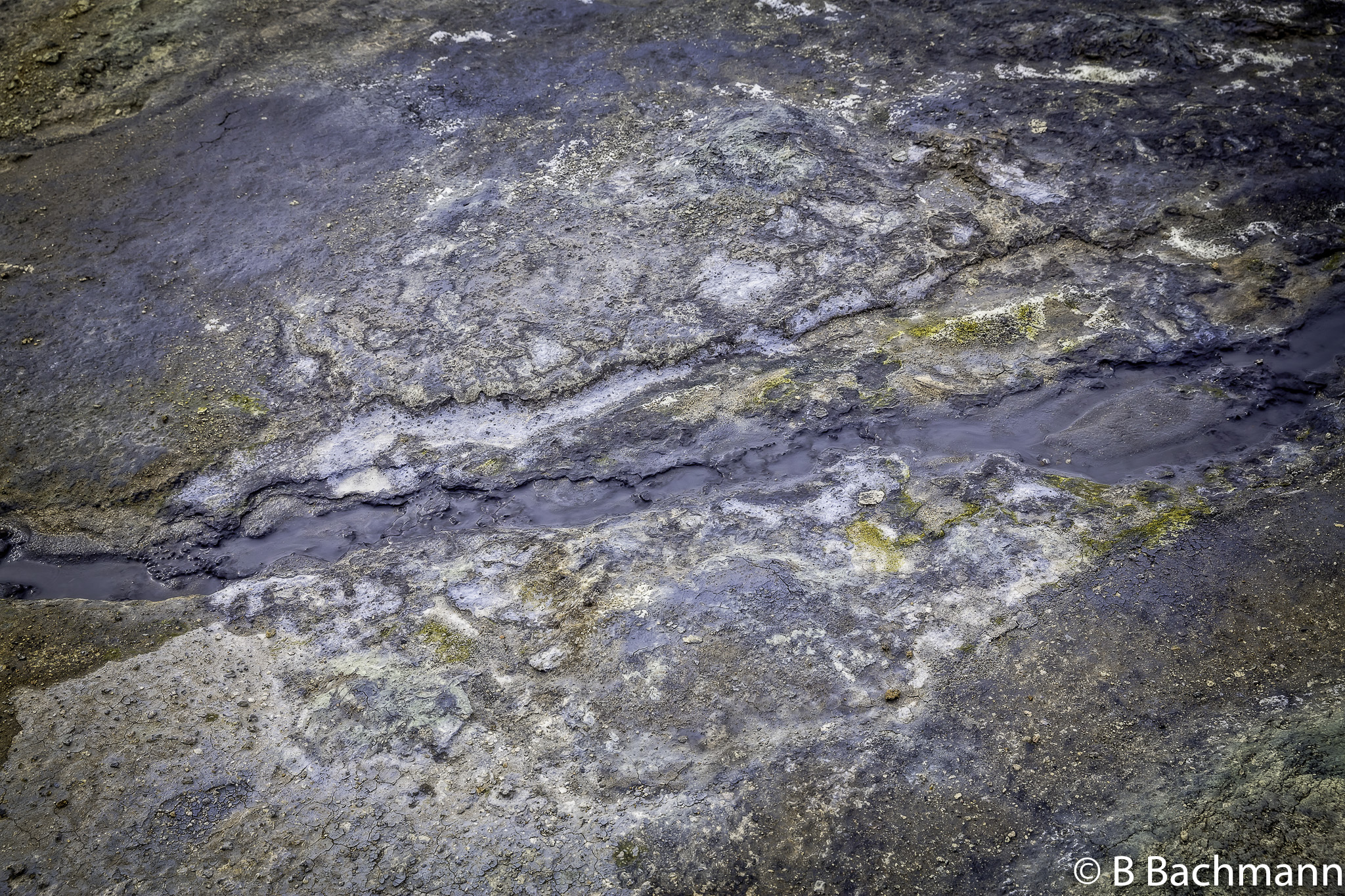 201506_Namaskard-54-Modifier.jpg