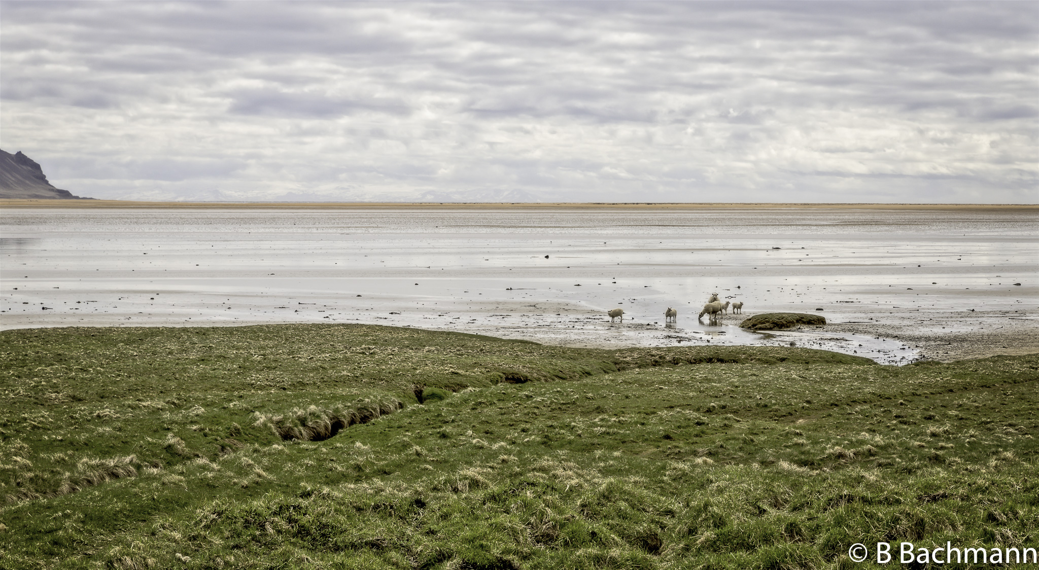 201506_Raudasandur-9-Modifier.jpg