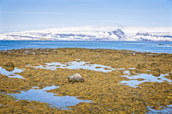 201506_Isafjoerdur-21-Modifier.jpg