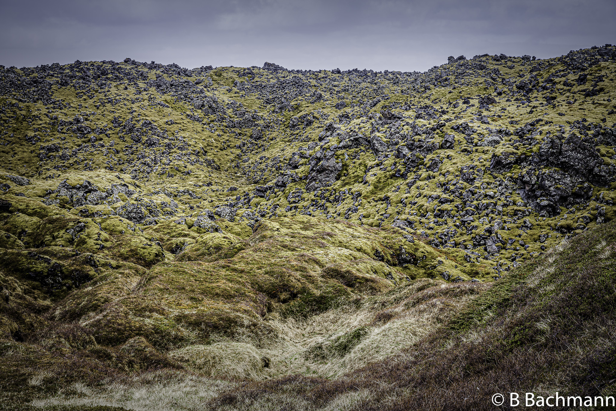 201506_Djupalonssandur-19-Modifier.jpg