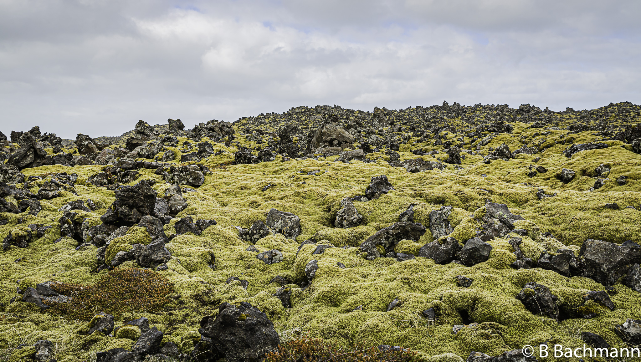 201506_Djupalonssandur-20.jpg