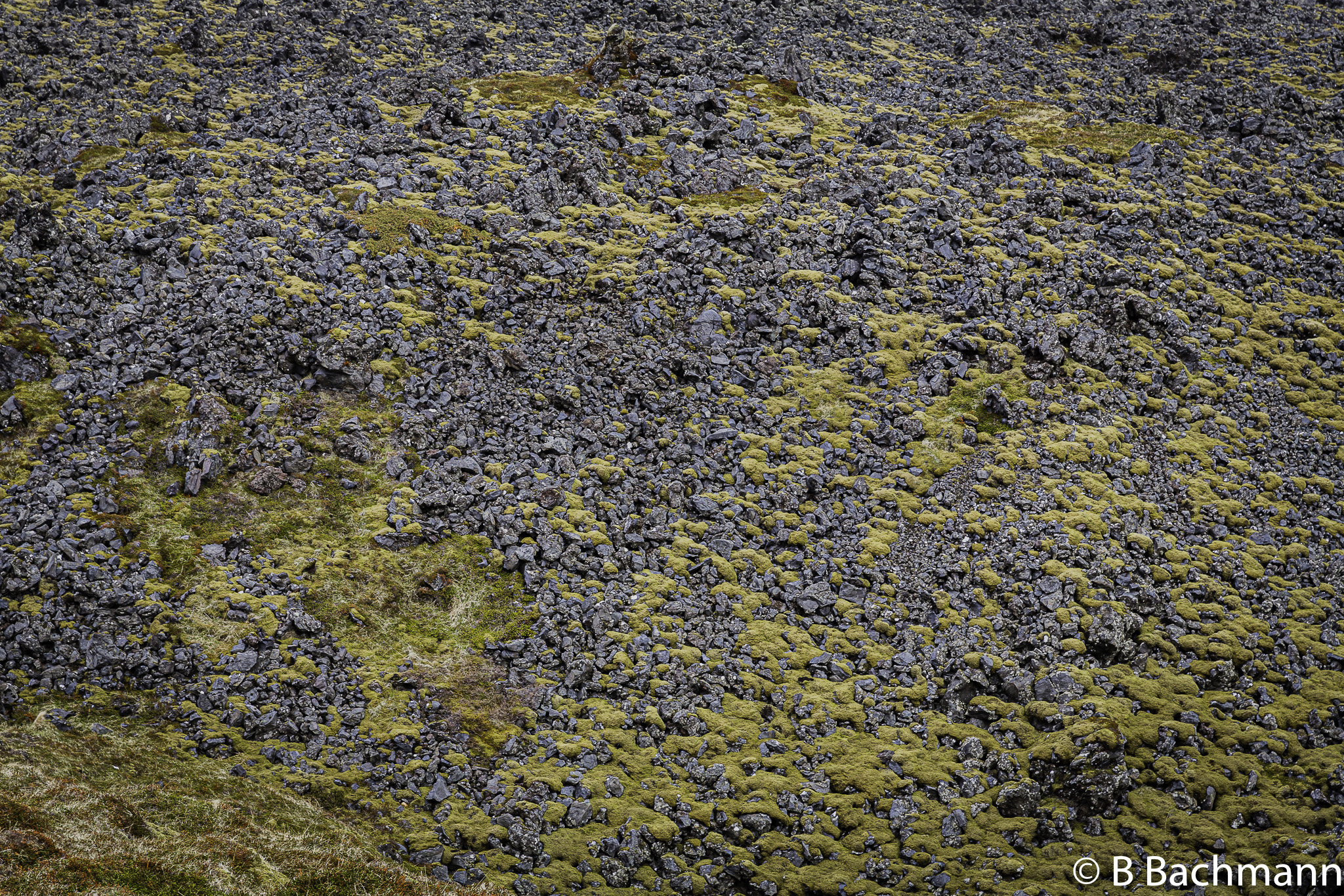 201506_Djupalonssandur-23.jpg