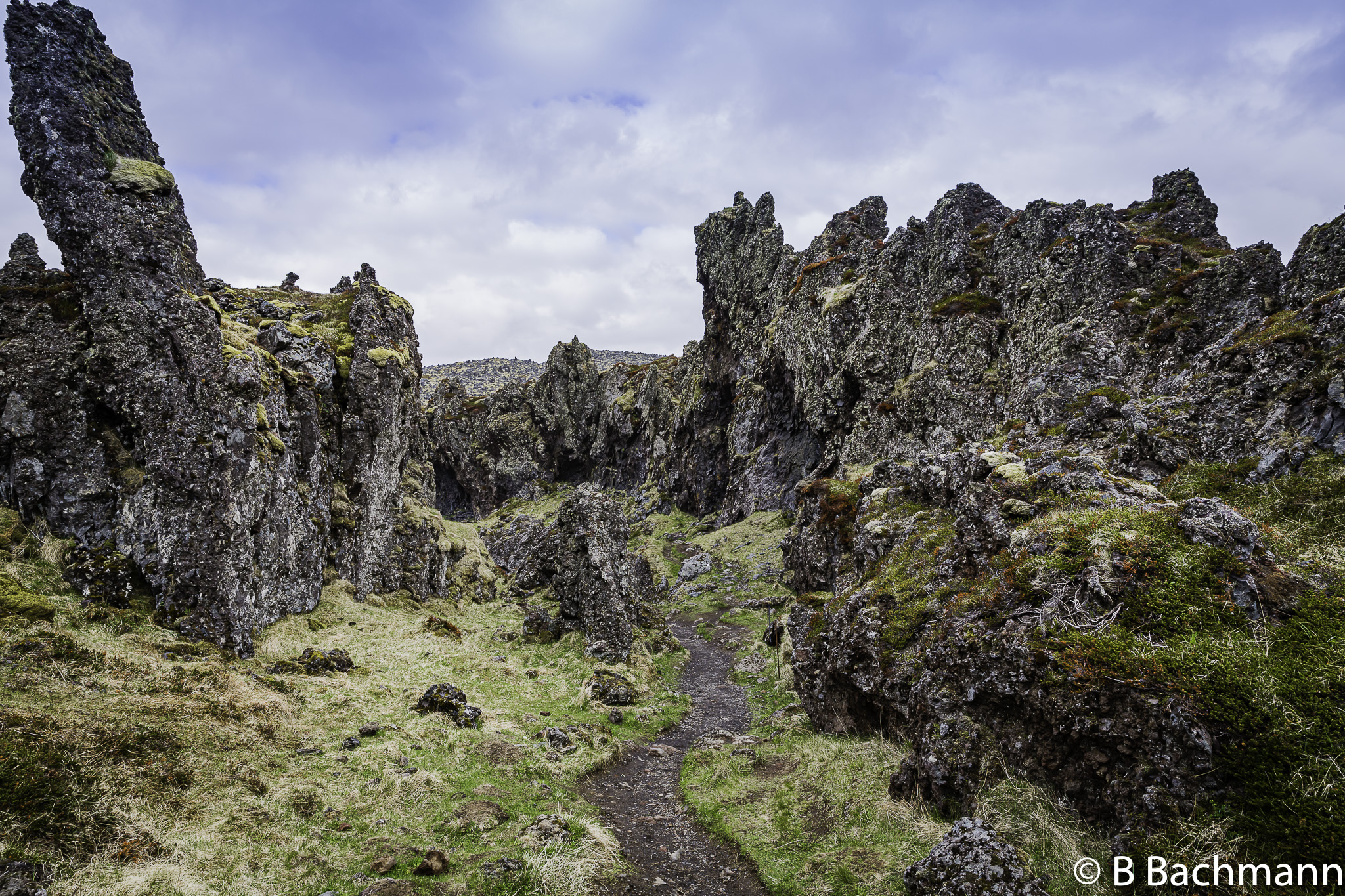 201506_Djupalonssandur-30.jpg