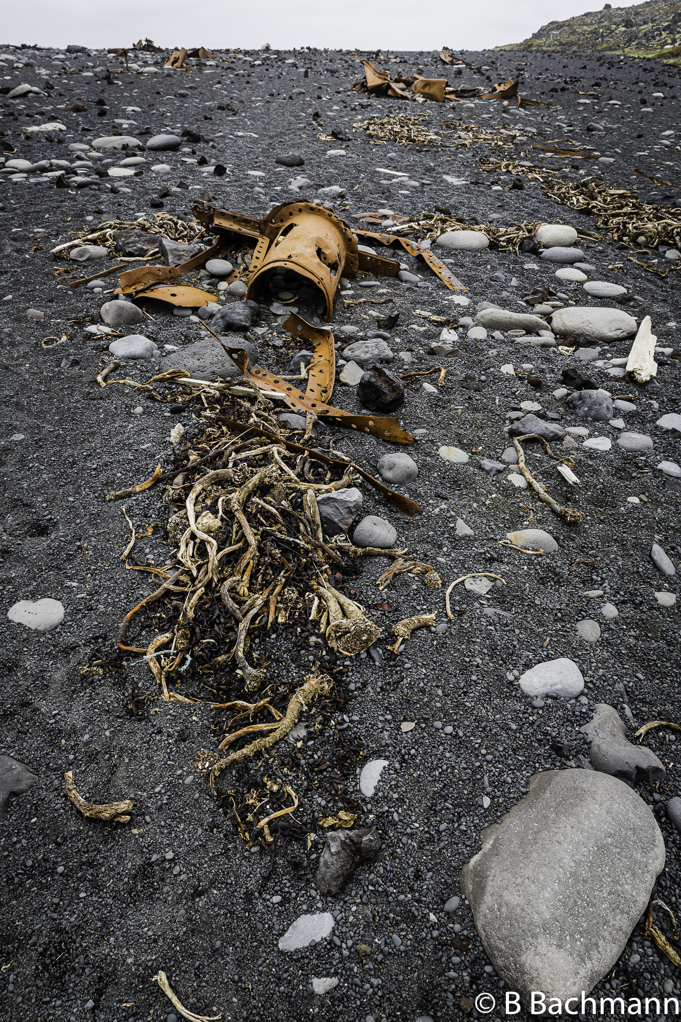 201506_Djupalonssandur-37.jpg