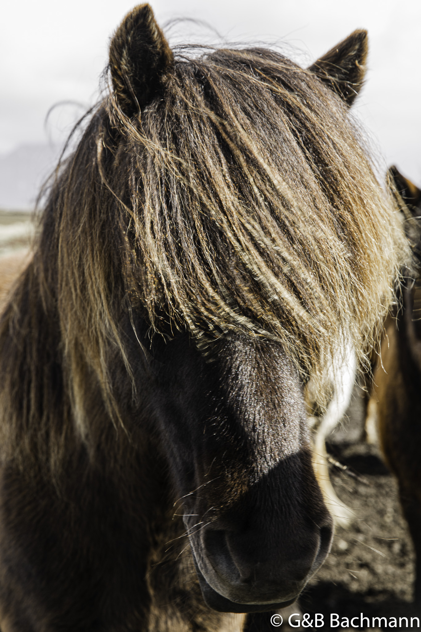 201506_Eldborg-14.jpg