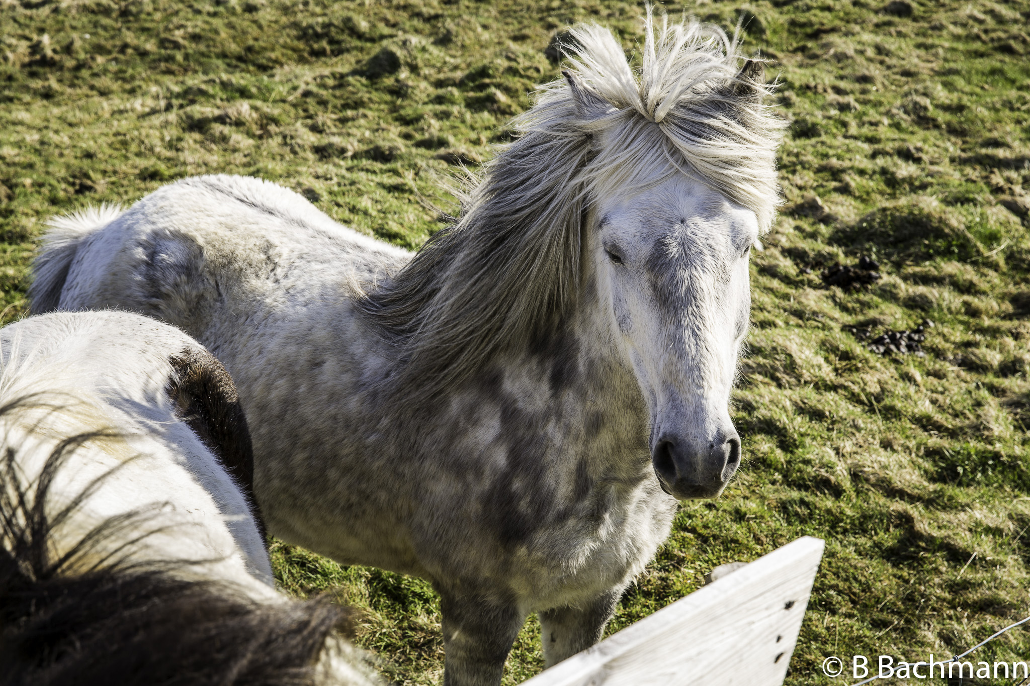 201506_Grundarfjoerdur-24.jpg