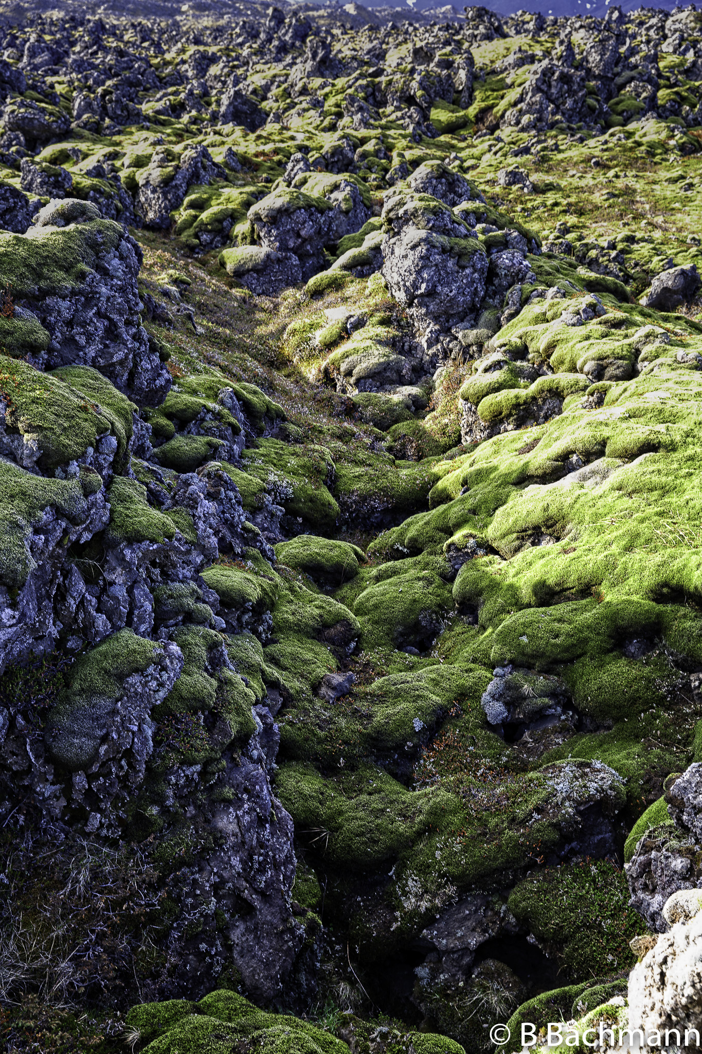 201506_Grundarfjoerdur-5-Modifier-2.jpg
