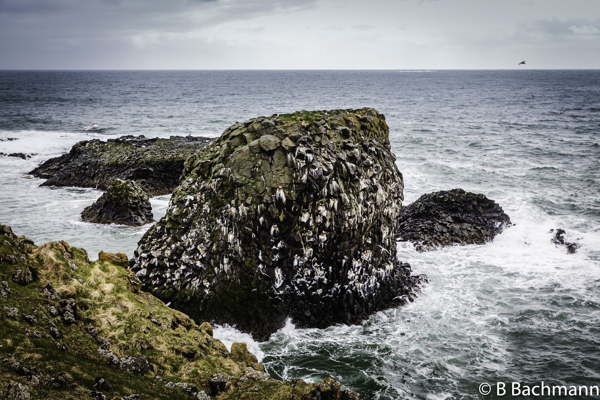 201506_Hellnar-Arnarstapi-56.jpg