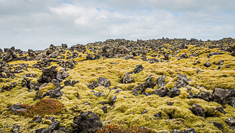201506_Djupalonssandur-20.jpg