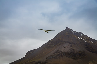 201506_Hellnar-Arnarstapi-43.jpg