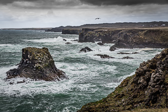 201506_Hellnar-Arnarstapi-53.jpg