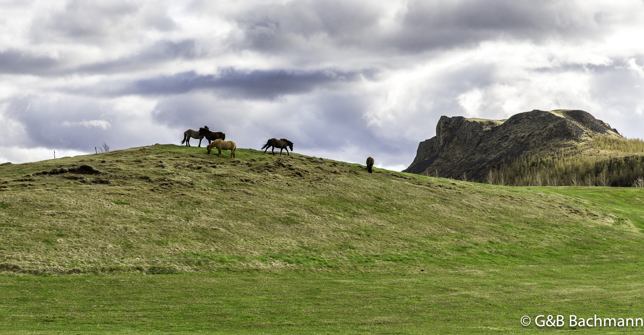 201505_Thjorsardalur-15.jpg