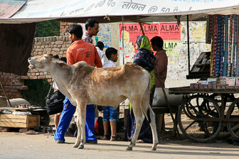 20100403_Dehli_0187.jpg