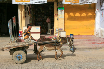 20100404_Mandawa_Shekhawati_Havelis_0171.jpg