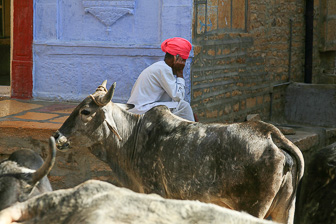 20100406_Jaisalmer_0858.jpg