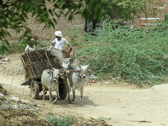 20100408_Market_Noria_Bats_1373.jpg