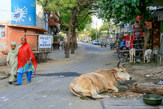 20100410_Rajasthani-Villages_Jaipur_2203.jpg