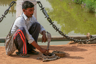 20100403_Delhi_0081.jpg