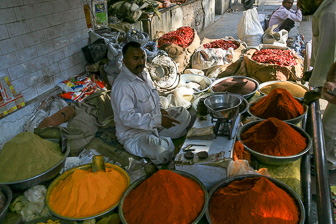 20100410_Jaipur_2139.jpg
