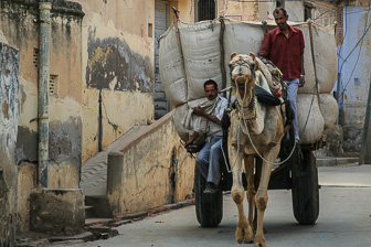 20100404_Mandawa_Shekhawati_Havelis_0044.jpg