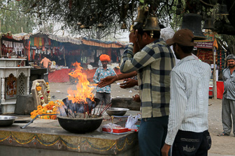 20100408_Market_Noria_Bats_1452.jpg