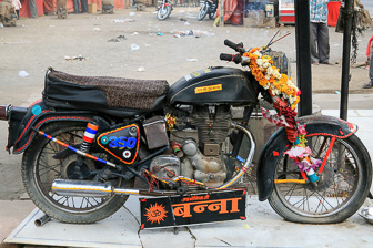 20100408_Market_Noria_Bats_1454.jpg