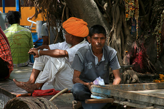 20100408_Market_Noria_Bats_1547.jpg