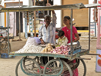 20100409_Udaipur_Pichola-Lake_Jojowar_1814.jpg