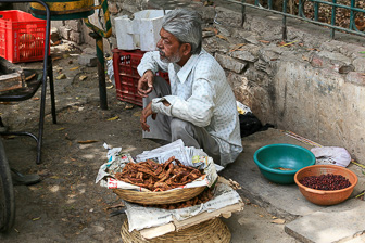 20100409_Udaipur_Pichola-Lake_Jojowar_1902.jpg