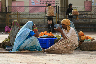 20100413_Orchha_Norias_2713.jpg