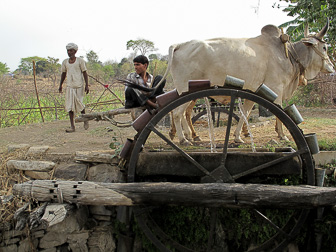 20100408_Market_Noria_Bats_1427.jpg
