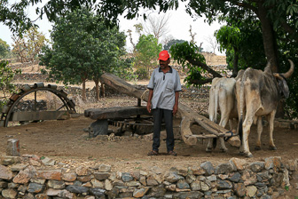 20100408_Market_Noria_Bats_1591.jpg