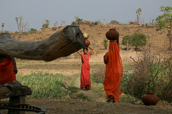 20100408_Market_Noria_Bats_1621.jpg