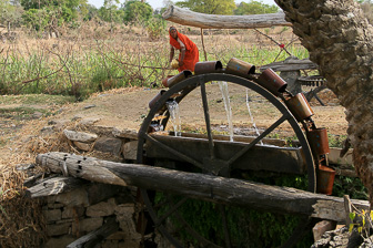 20100408_Market_Noria_Bats_1623.jpg