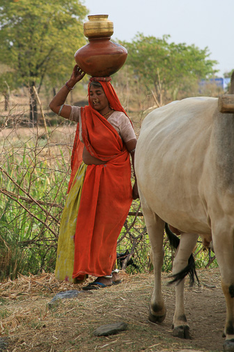 20100408_Market_Noria_Bats_1638.jpg