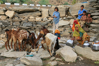 20100409_Udaipur_Pichola-Lake_Jojowar_2021.jpg