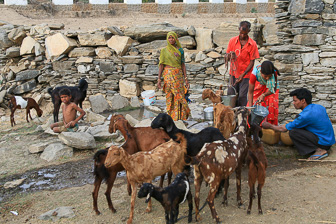 20100409_Udaipur_Pichola-Lake_Jojowar_2029.jpg