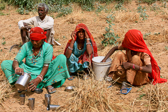 20100404_Campaign_Rat_Temple_0341.jpg