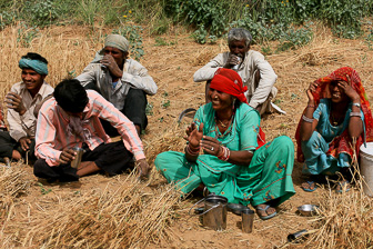 20100404_Campaign_Rat_Temple_0345.jpg