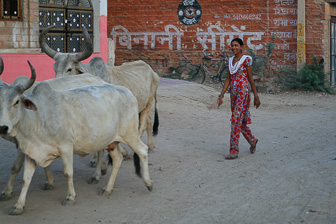 20100407_MArket_Luni_1329.jpg