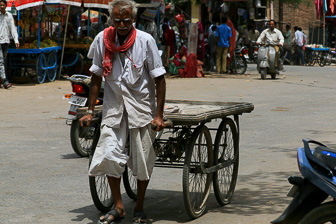20100408_Market_Noria_Bats_1575.jpg