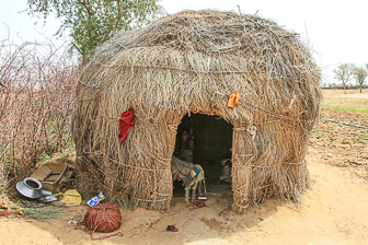 20100404_Campaign_Rat_Temple_0353.jpg
